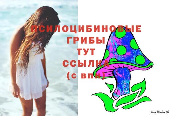дурь Алзамай