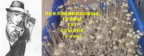 кокс Алексеевка