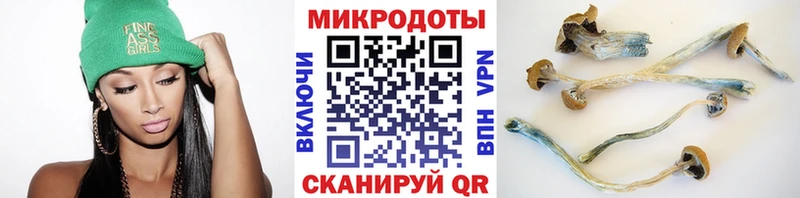 KRAKEN вход  Реж  Псилоцибиновые грибы прущие грибы 